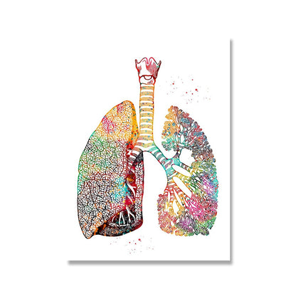 Startseite Menschliche Anatomie Muskelsystem Wandkunst Leinwand Malerei Poster und Drucke Körperkarte Wandbilder Medizinische Ausbildung Dekor