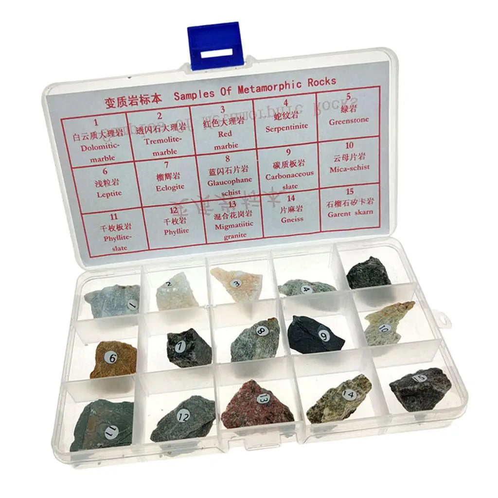 Metamorphic Rock Specimen Educational Metamorphic Real Stone Teaching ...