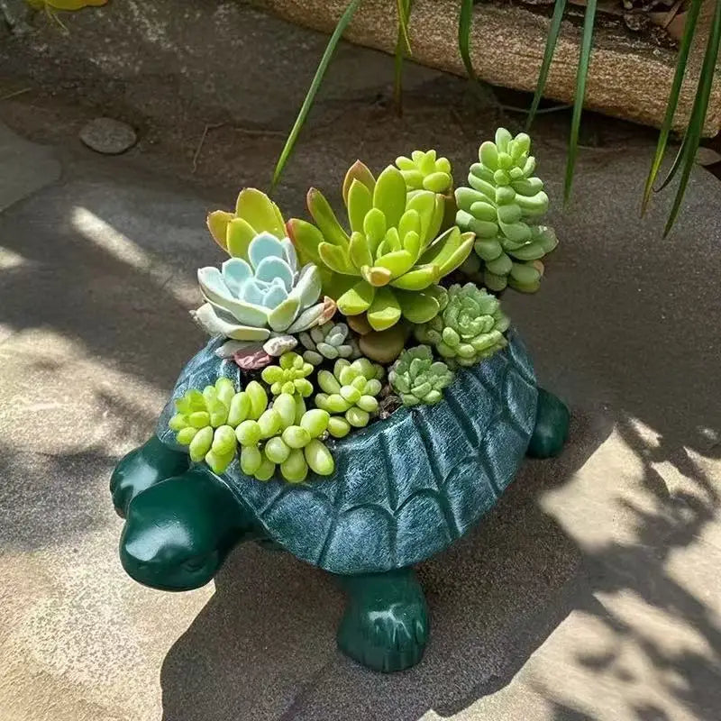 Kreativer Blumentopf mit Cartoon-Tiermotiv, saftiger Blumentopf, niedl –  acacuss