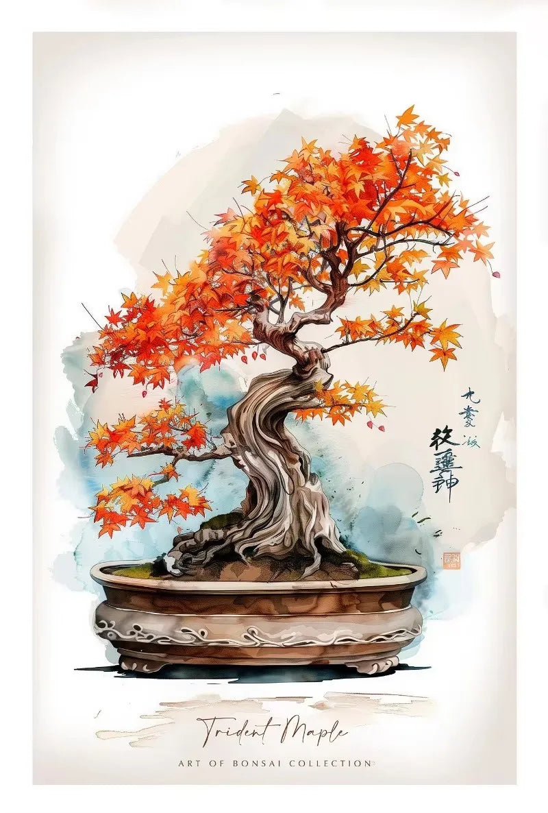 Modern Classic Plant Art Rhododendron Maple Sakura Bonsai Poster Canva –  acacuss