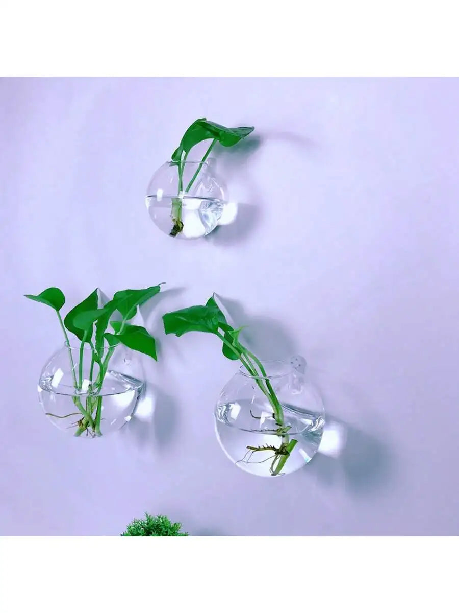 2/4/6 Pack Wall Hanging Glass Terrarium