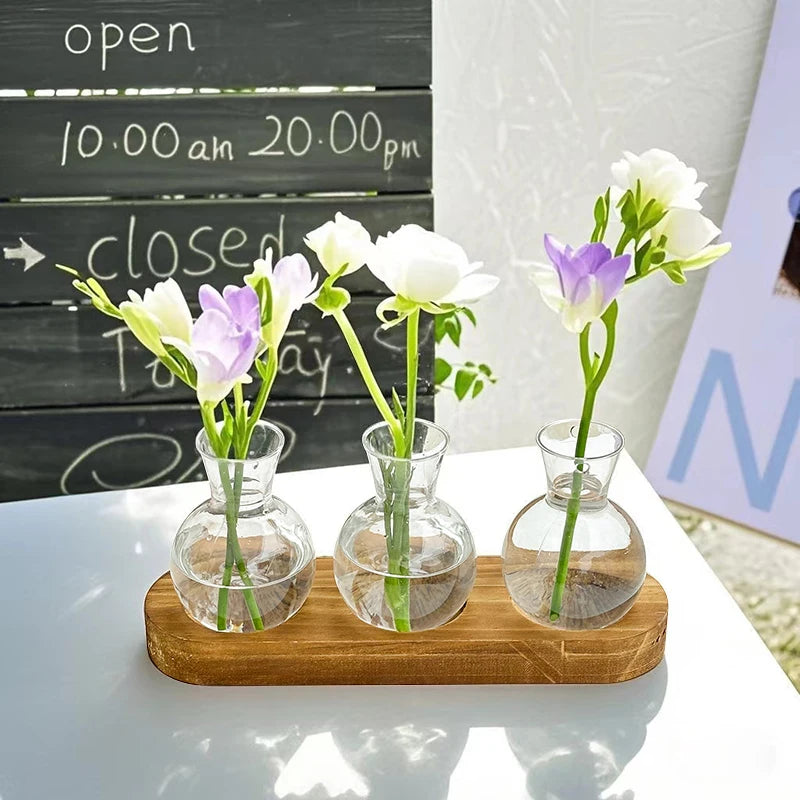 Kreative Hydrokultur Grn Efeu Glhbirne Vase Container Becken Wohnzim   acacuss
