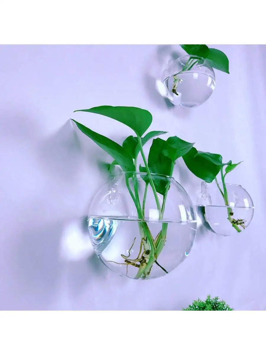 wall terrarium planter 2/4/6 Pack Wall Hanging Glass Terrarium