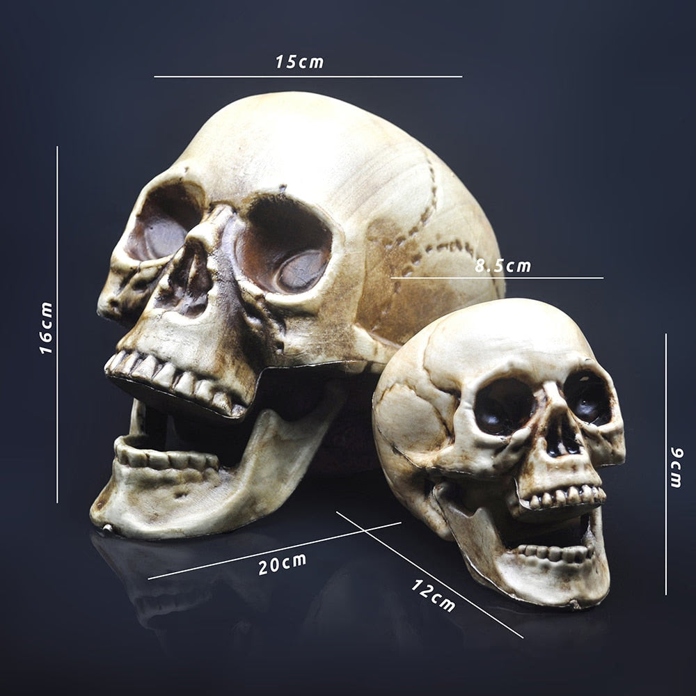 Skull Decor Prop Skeleton Head Plastic 1:1 Model Halloween Style Haunted House Party Home Decoration Game Supplies High Quality acacuss
