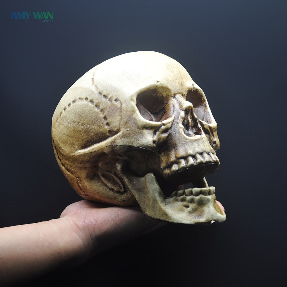 Skull Decor Prop Skeleton Head Plastic 1:1 Model Halloween Style Haunted House Party Home Decoration Game Supplies High Quality acacuss