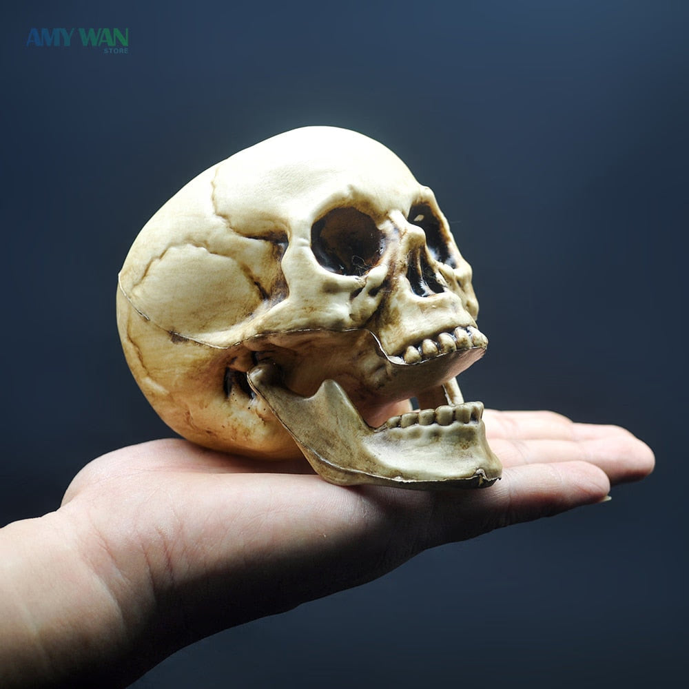 Skull Decor Prop Skeleton Head Plastic 1:1 Model Halloween Style Haunted House Party Home Decoration Game Supplies High Quality acacuss