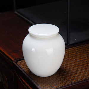 Small Cremation Urns for Human Ashes Ceramic Adult Dog Cat Ash Holders Miniature Memorial Funeral Urn for Sharing Ashes Pet Urns acacuss