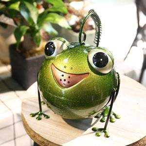 Tooarts Cartoon Frog Watering Pot Iron Animal Watering Can Metal Plants sprinkler for Fairy Home Garden Decoration Dropshipping acacuss