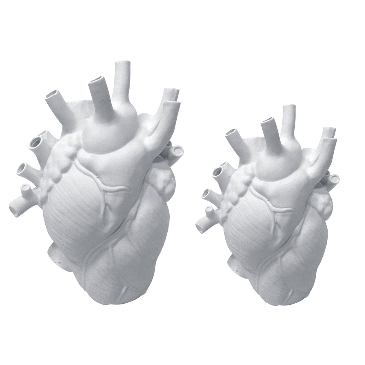 Vase Container Simulation Anatomical Heart-shaped Vase Dried Flower Pot Art Vase Human Statue Desktop Home Decoration Ornaments acacuss