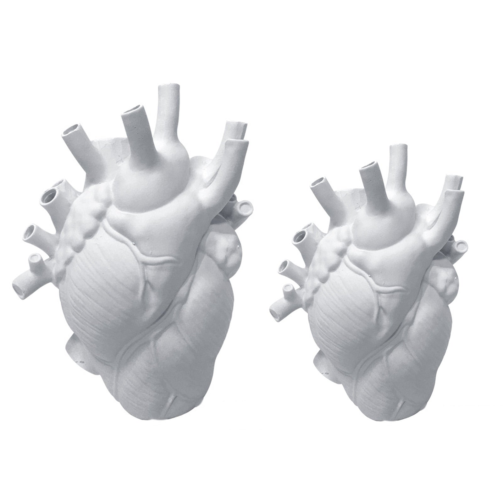 Vase Container Simulation Anatomical Heart-shaped Vase Dried Flower Pot Art Vase Human Statue Desktop Home Decoration Ornaments acacuss