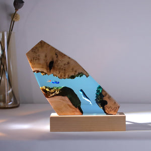 Karst cave whale diver table decoration marine art crafts solid wood resin lamp birthday gift jewelry decoration home acacuss