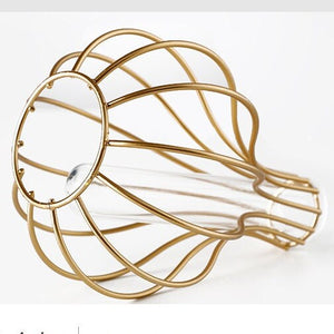 Modern Iron Golden Glass Vase Metal Wire Decorative Glass Tube Vase/Flower Vase Pot/Unique Handmade Home Decor/Living Room Office Table Vase - ACACUSS