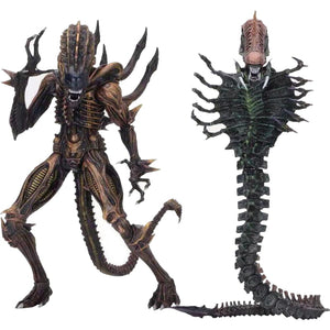 NECA Alien VS Predator Figure Scorpion Snake Alien 18CM 13th Sgt Apone Kenner Action Figure Model Toy Gift acacuss