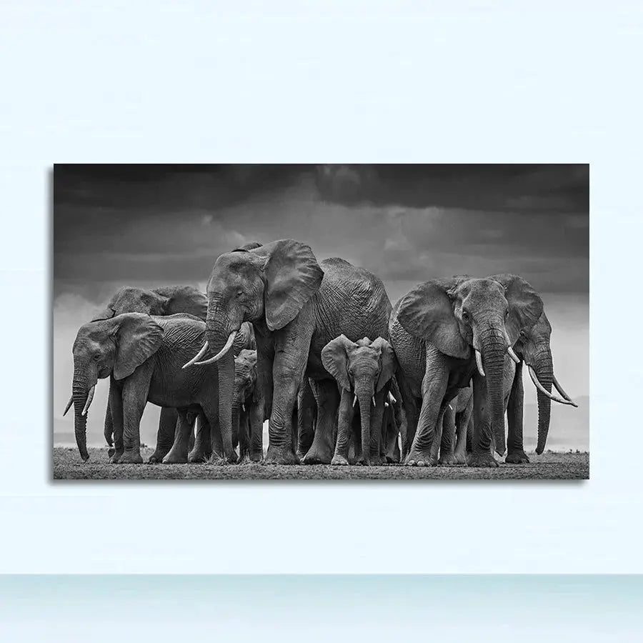 47568505667916|47568505700684|47568505733452|47568505766220|47568505798988
