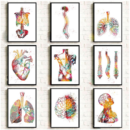 Startseite Menschliche Anatomie Muskelsystem Wandkunst Leinwand Malerei Poster und Drucke Körperkarte Wandbilder Medizinische Ausbildung Dekor